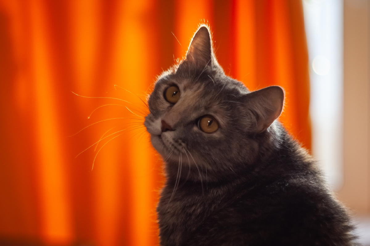 фото Андрея Павлычева