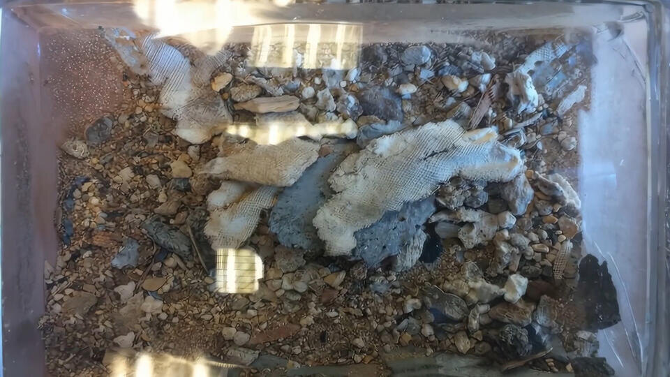 ФОТО: Кадр из программы "Неизвестная история", РЕН ТВ