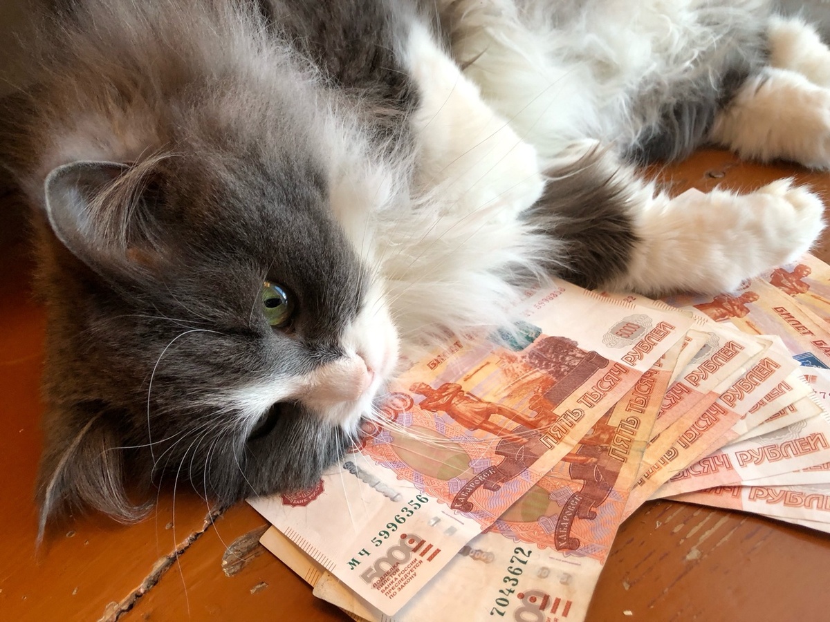    Фото: Редакция портала «Город Киров.RU»