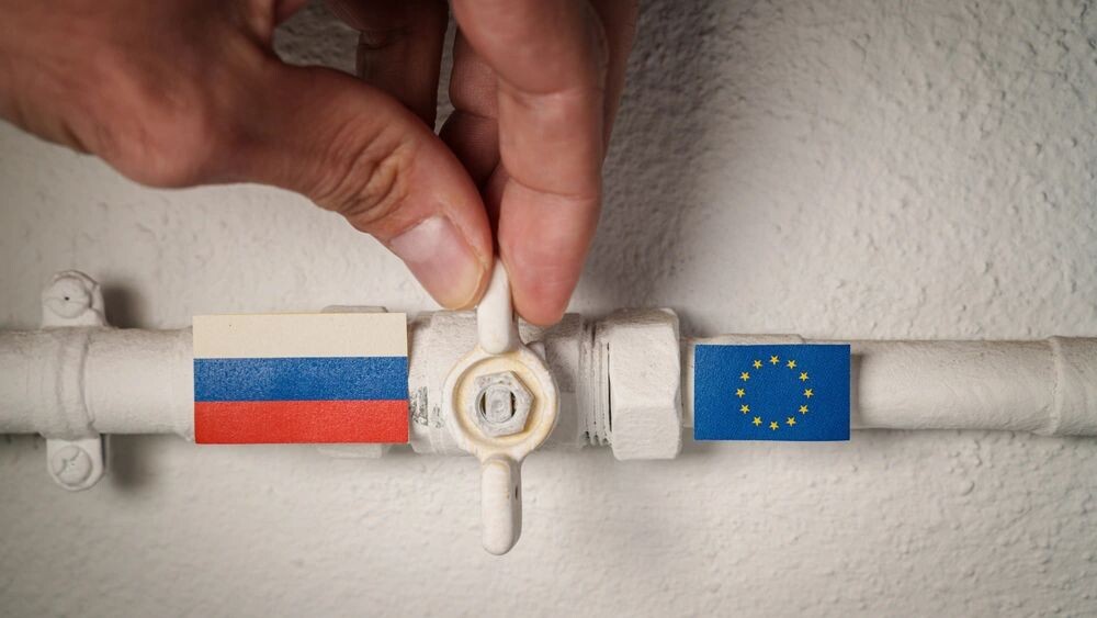    Фото: Ivan Marc/Shutterstock/Fotodom