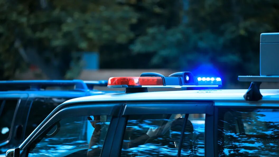    Фото: globallookpress.com