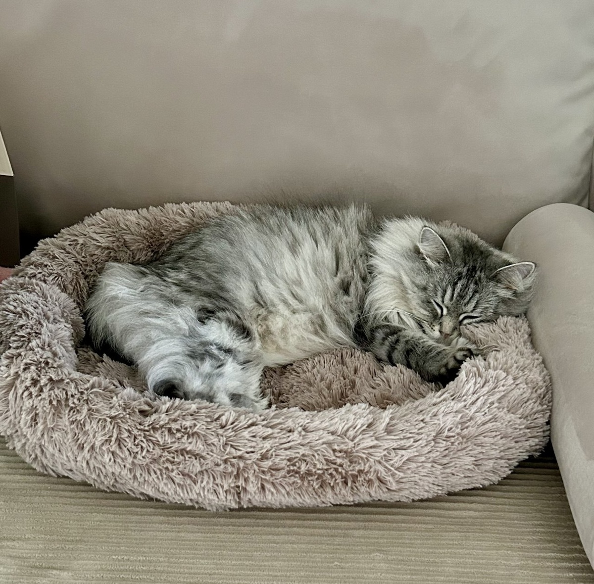 Попытка №1.