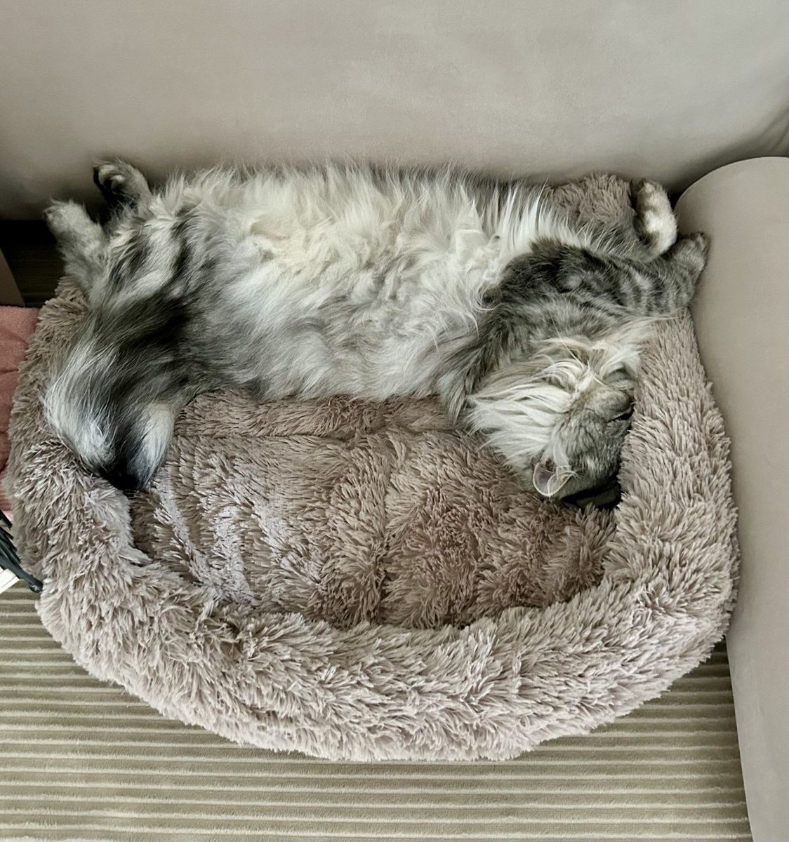 Попытка №2.