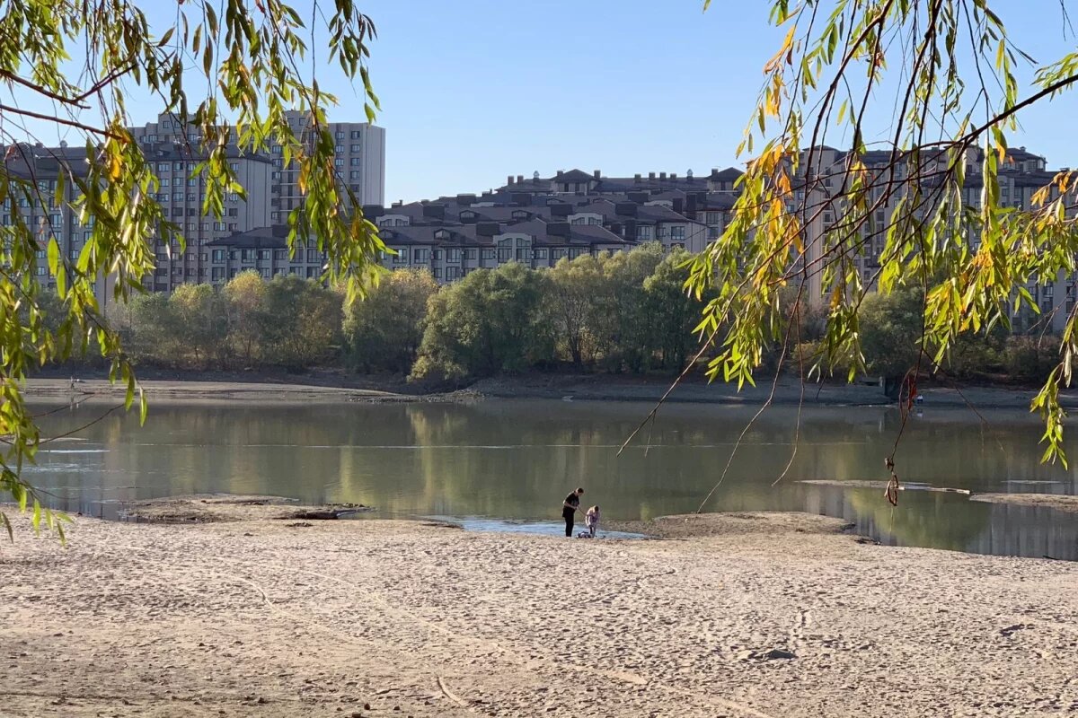    В Краснодаре из реки Кубань выловили тело молодого мужчины
