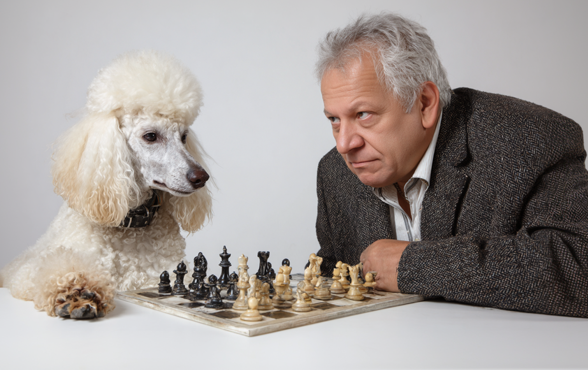 5 гениев среди собак: у кого в доме живет маленький Шерлок? / Изображение: AlphaPet