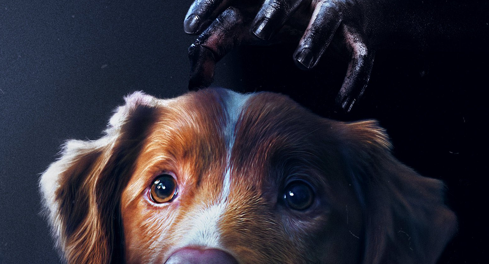 Собаке – собачий страх: рецензия на хоррор «Глазами пса»