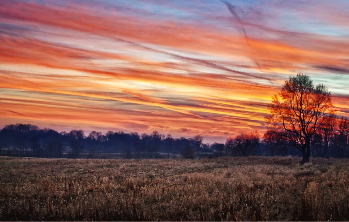 Изображение из открытых источников