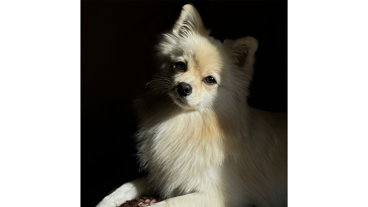    Победитель в номинации «Умение быть очаровательным всегда»