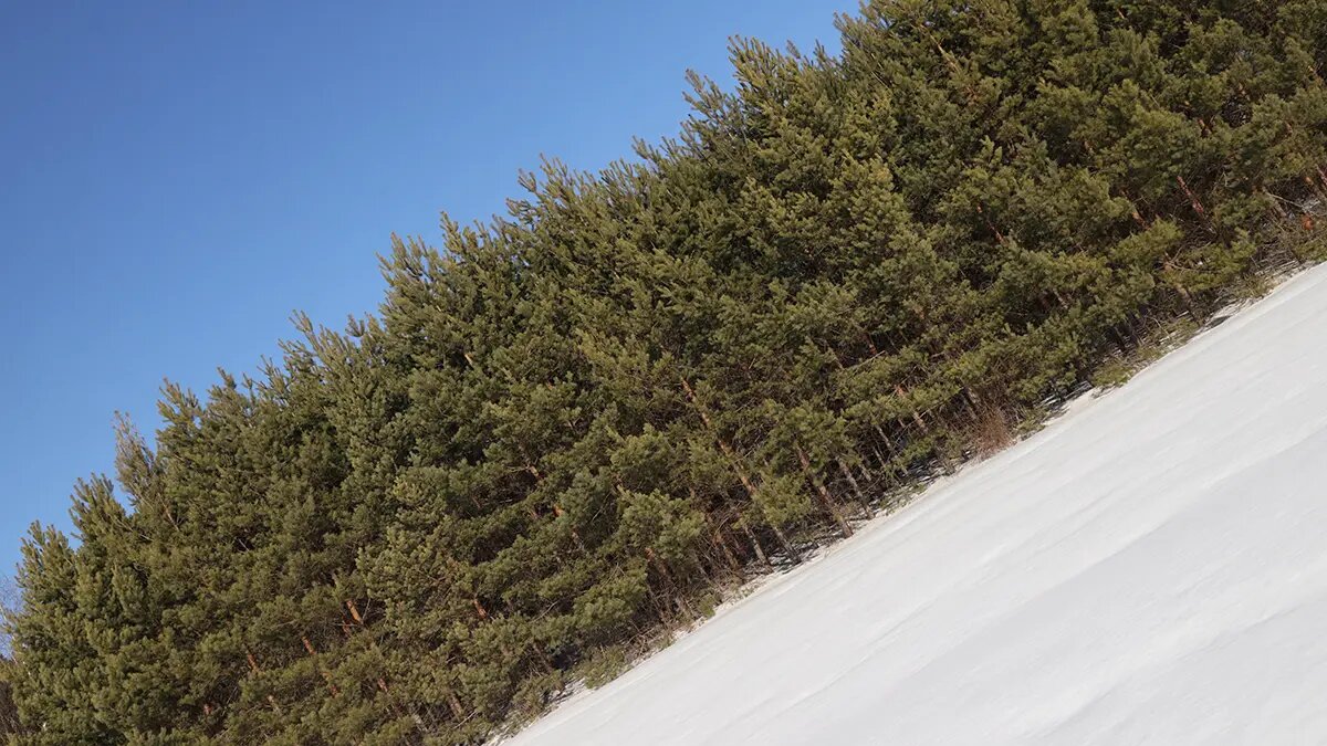    Фото: vm.ru Олеся Шмелева