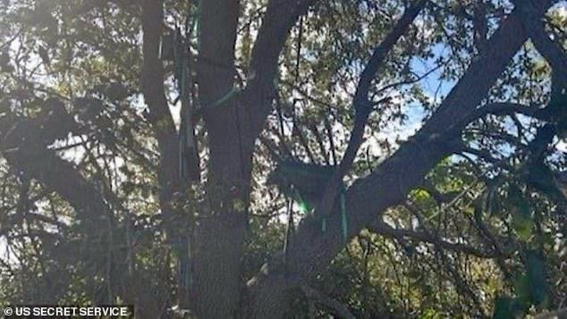    Угроза или паранойя? Трамп поднимался на борт самолёта по короткому трапу