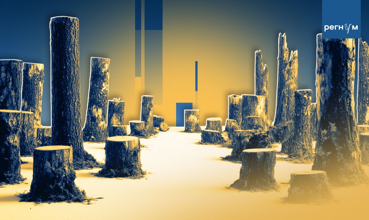     / Источник: Иван Шилов (с) ИА Регнум