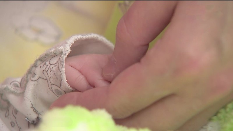    Фото: ГТРК Карелия