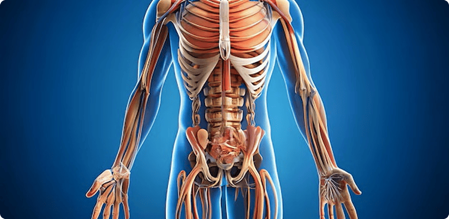 Что происходит с организмом после отказа от алкоголя по дням подробно