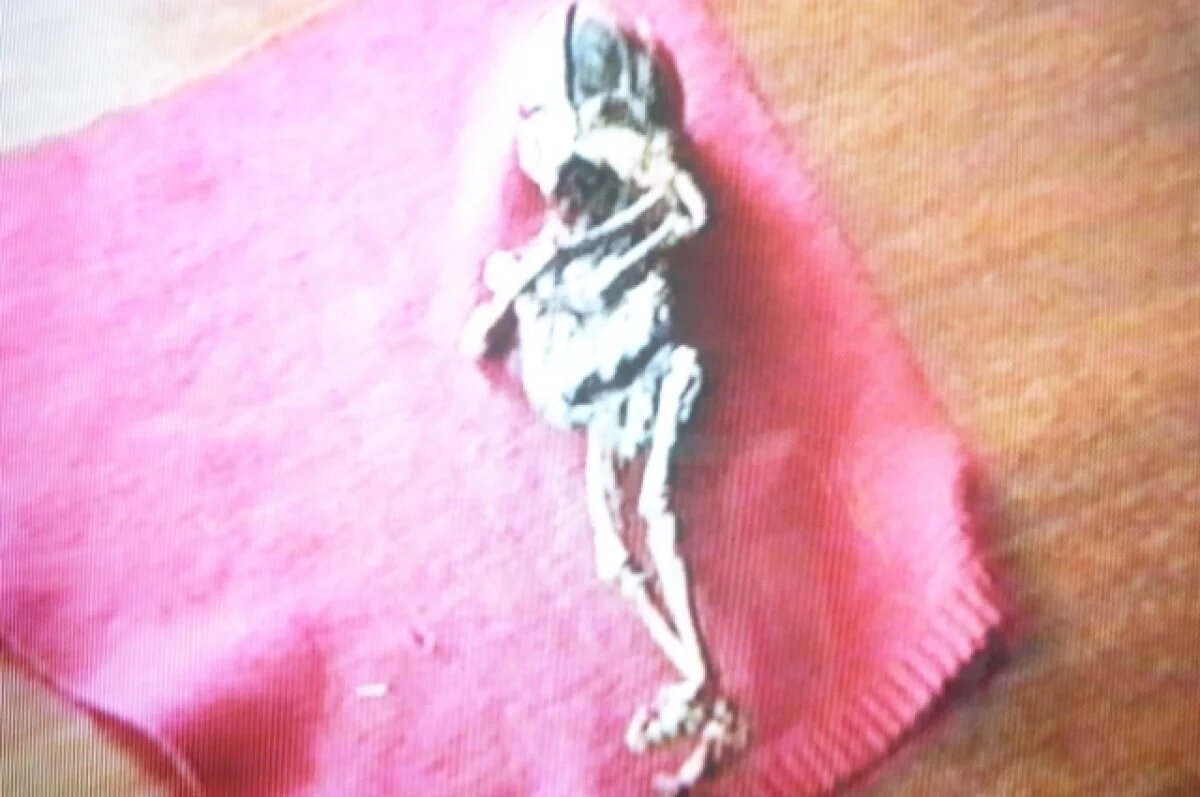    О кыштымском карлике сохранились только фото- и видеосвидетельства.