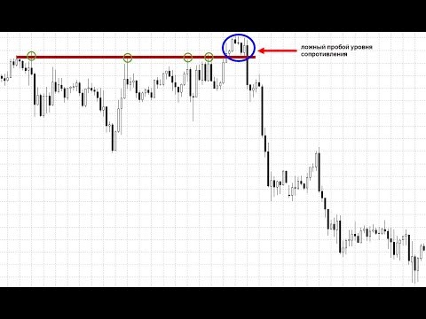 Доллар биткоин на сегодняшний: разбор цены BTC и прогноз на 2026 год