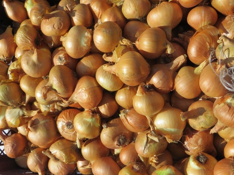    Фото сайта Минсельхоза России admin