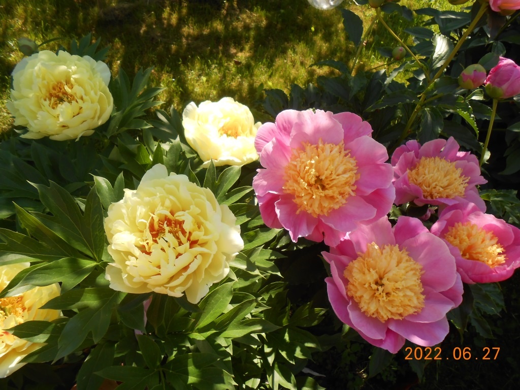 Красиво же!