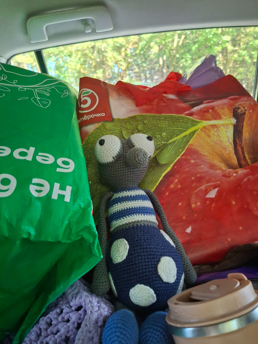 Фото автора канала