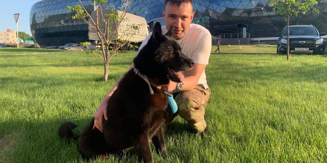 Оставьте бездомных животных в покое, лучше помогите!