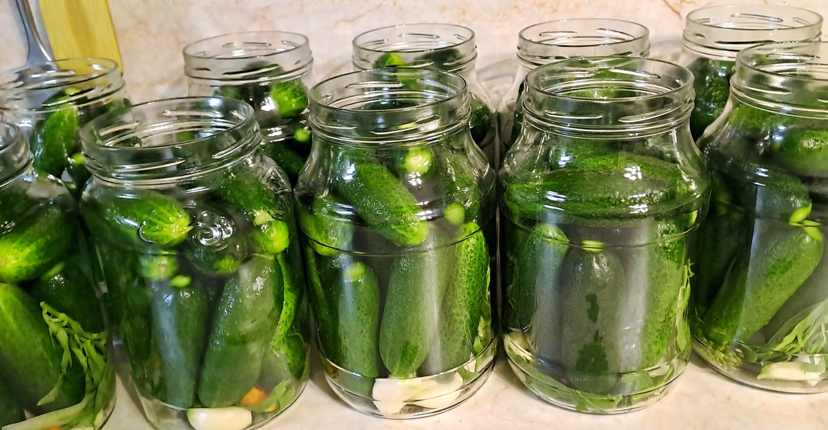Огурчики, подготовленные  для консервирования