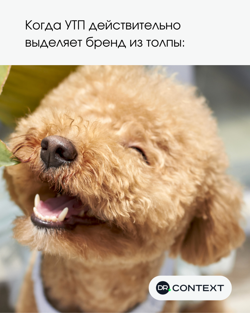 Когда УТП действительно выделяет бренд из толпы
