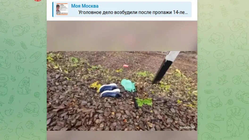    фото: тг-канал "Моя Москва".