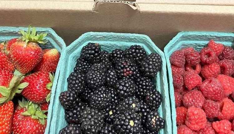    Фото: Минсельхозпрод Удмуртской Республики