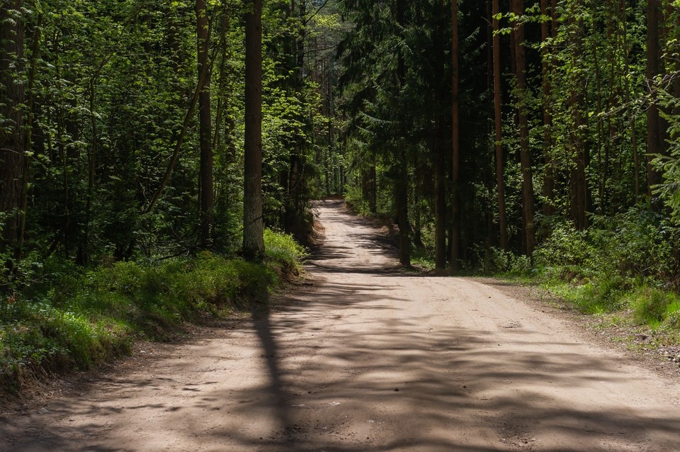    В следующем году работы пройдут на пляжах «Чудный» в Репино и «Новый» в Тарховке. Олег ЗОЛОТО