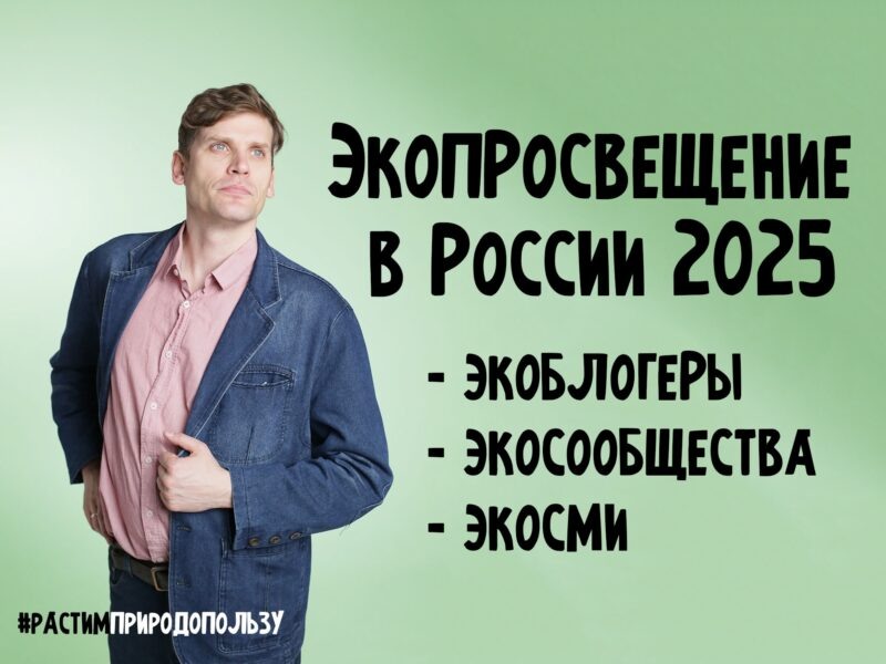 фото Д. Леонтьев