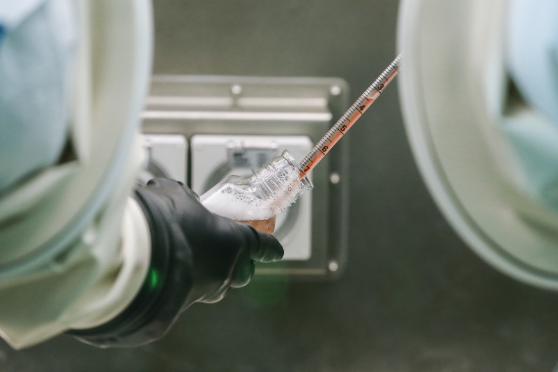    фото: Zhang Yuwei/XinHua/Globallookpress