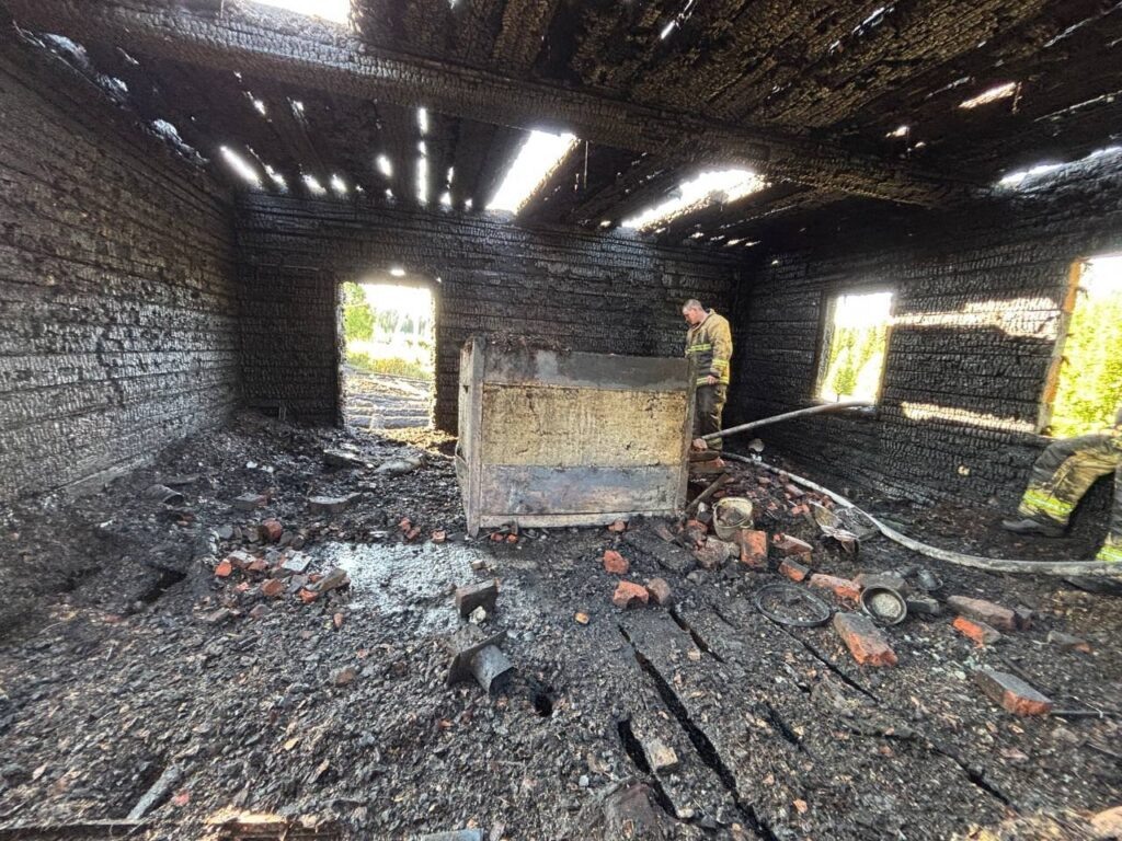    Фото: Митербез Прикамья/VK Ульяна Бажанова