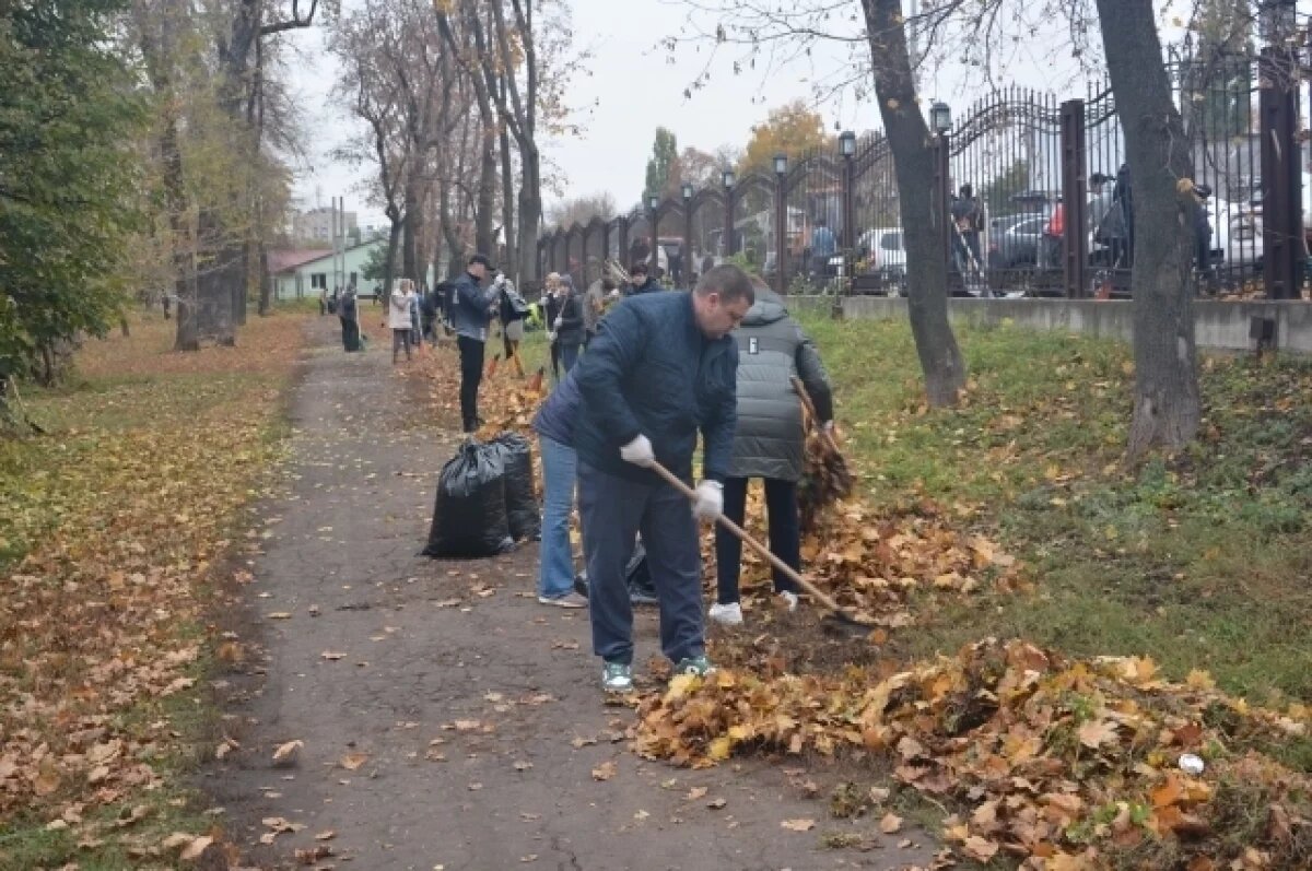    Депутаты Воронежской гордумы активно участвовали в общегородском субботнике