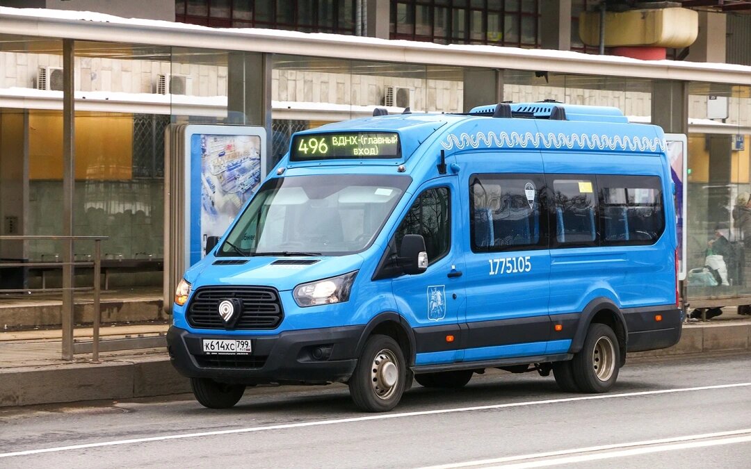 Фото: Art Konovalov / Shutterstock / FOTODOM