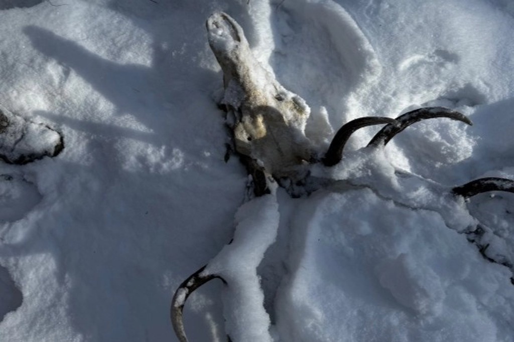    Фото © Участник поисковой операции