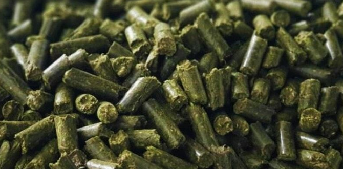 Гранулы люцерны