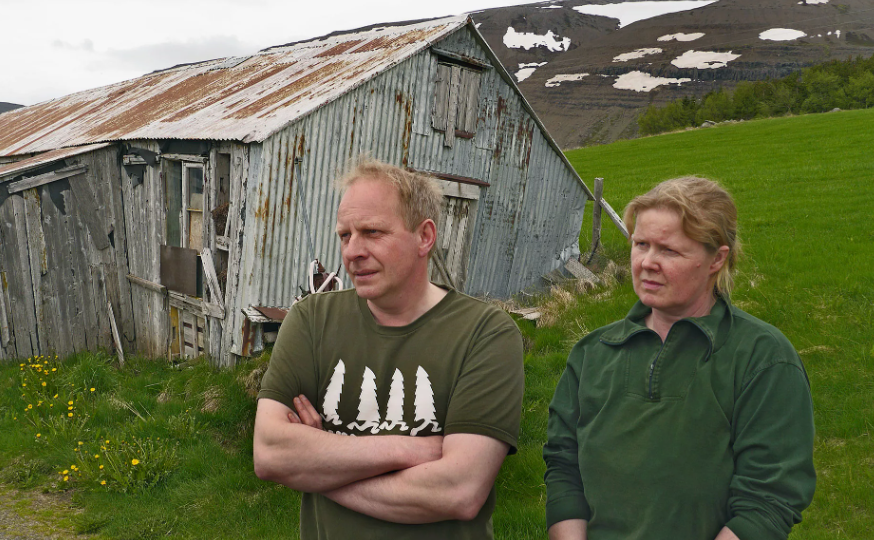 Пьют без закуски, отапливают дома энергией вулканов: Странные для русского человека вещи - норма для Исландии