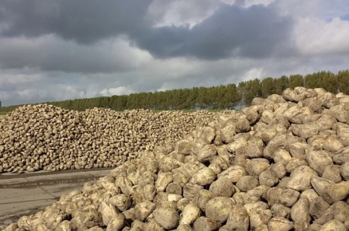    Режим ЧС в АПК распространился еще на два района Новосибирской области