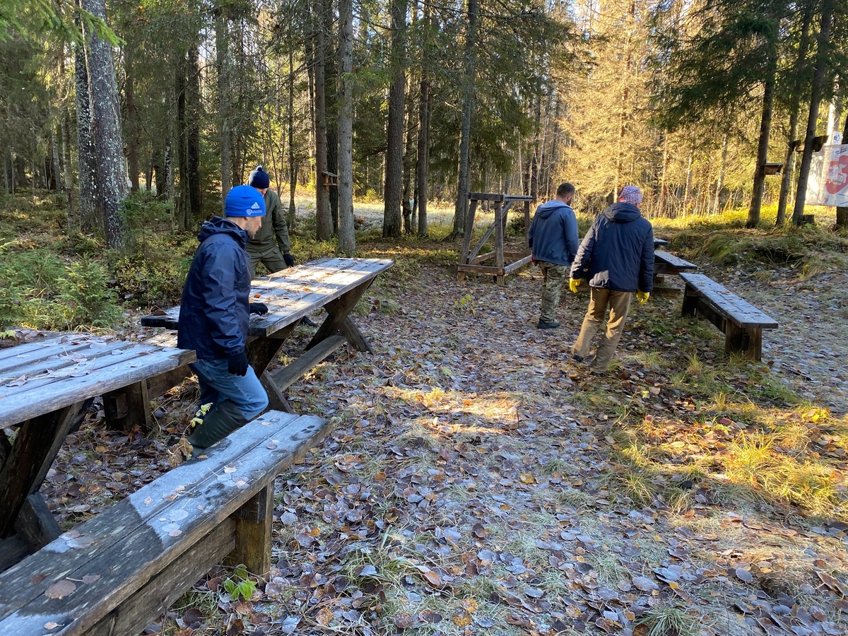 Листайте вправо, чтобы увидеть больше изображений