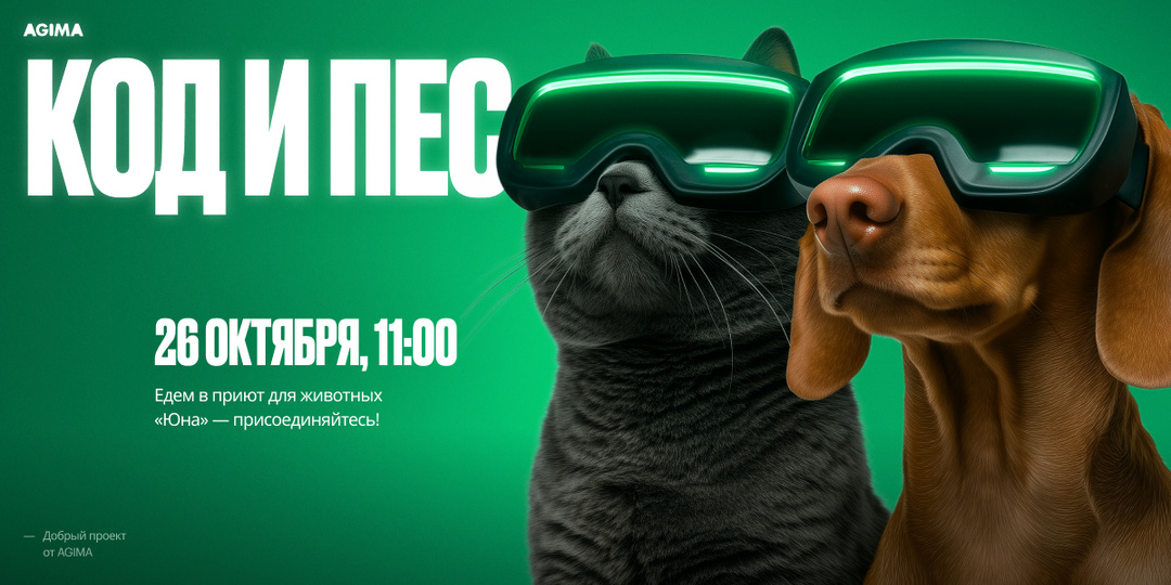 «Код и пес»: собираем IT-комьюнити и помогаем приюту