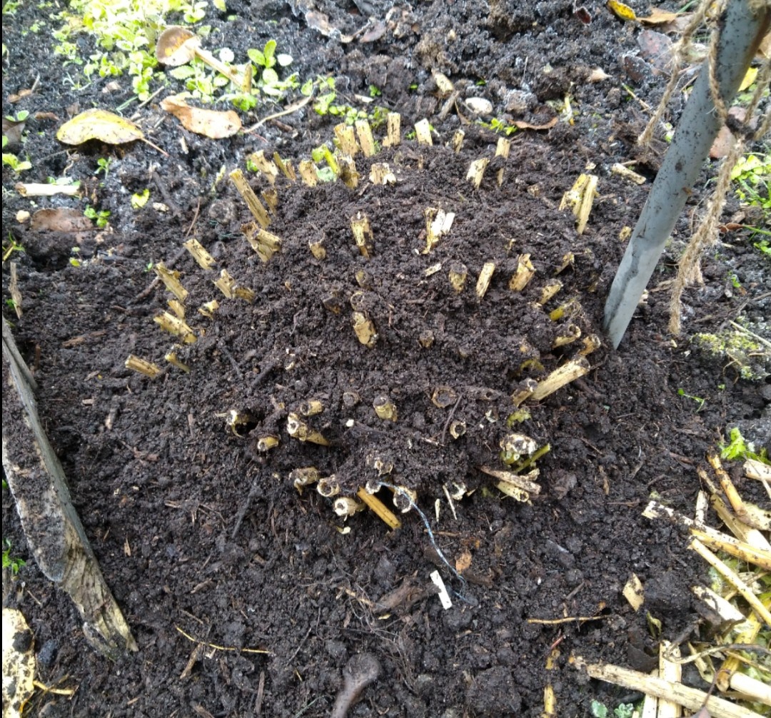 Насыпаем утеплитель