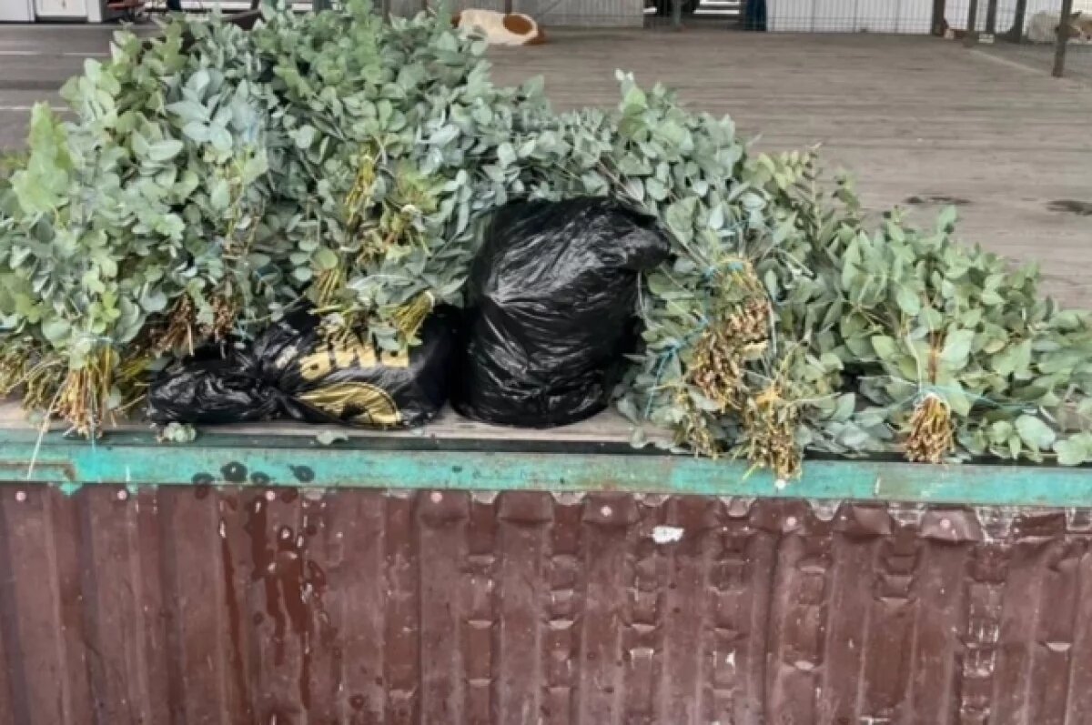    Житель Абхазии пытался незаконно провезти в Сочи 62 кг эвкалипта
