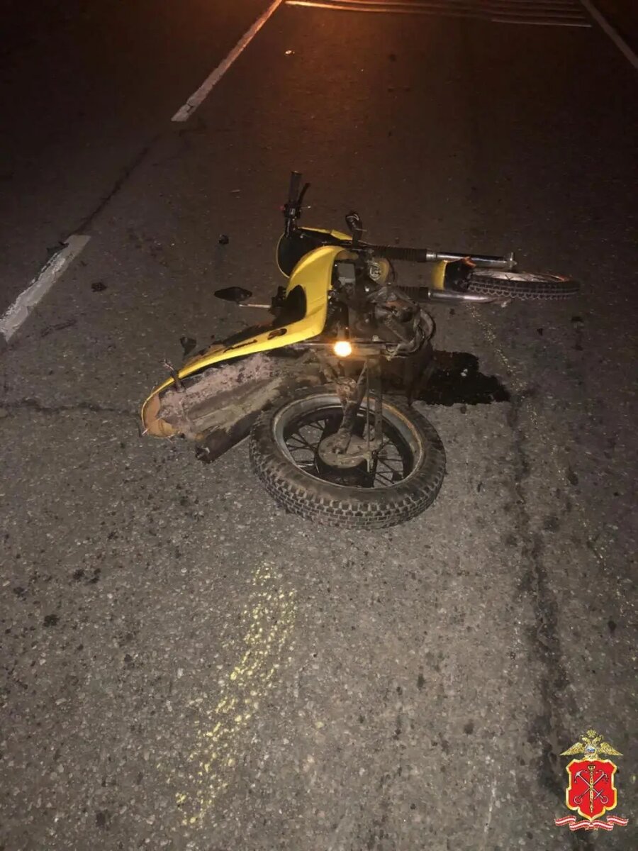    Фото: пресс-служба ГУ МВД России по Петербургу и Ленобласти