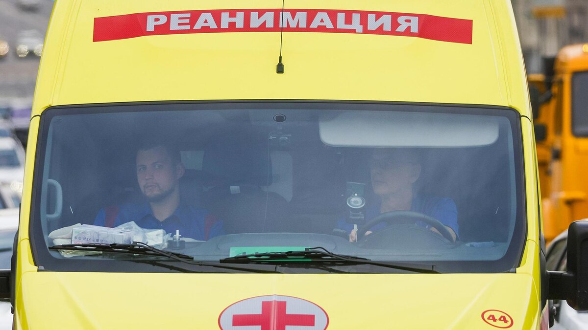    Фото: Shatokhina Natalia/globallookpress.com