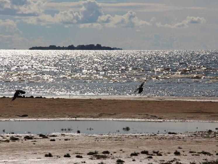     Будут благоустроены еще два пляжа: "Чудный" в Репино и "Новый" в Тарховке. Фото: архив МК в Питере