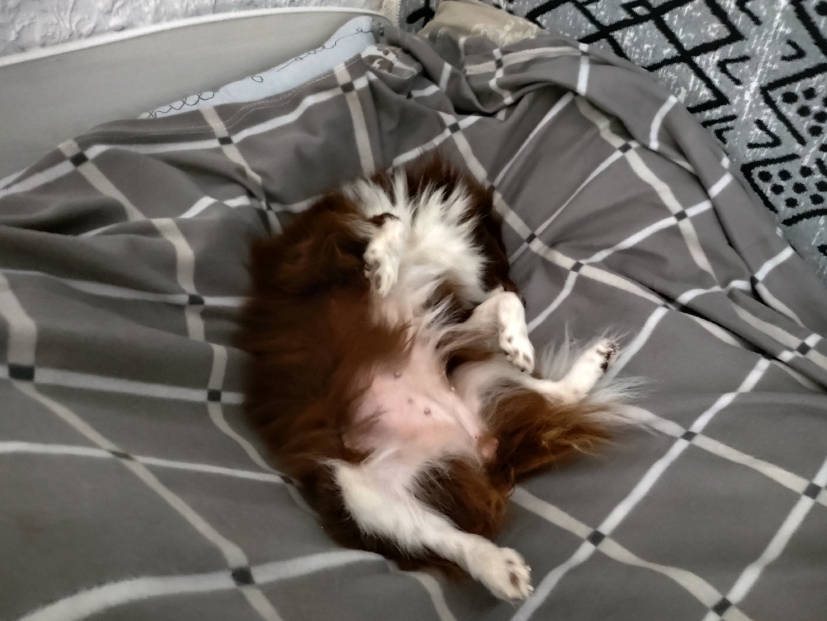 А это наблюдаю рядом )))