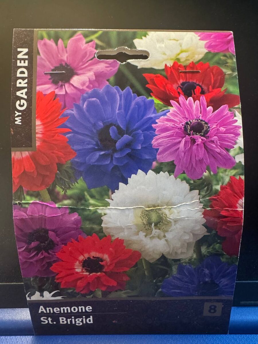 Вот такой пакетик пришел.