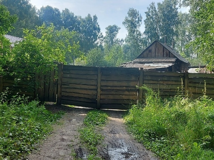     Фото: Елена Отмахова