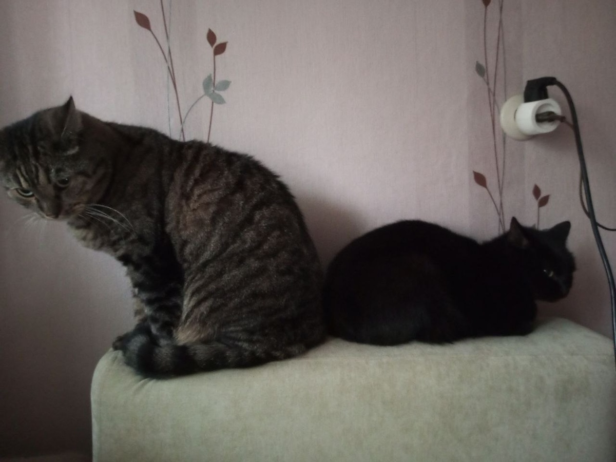 "Я к тебе со всею душою. а у тебя ко мне интерес небольшой..."