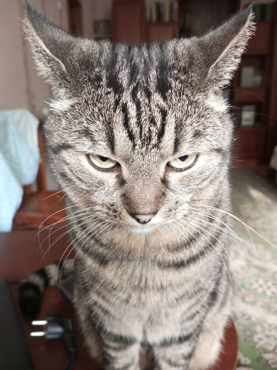 Настоящий полк...ой, генерал!!!