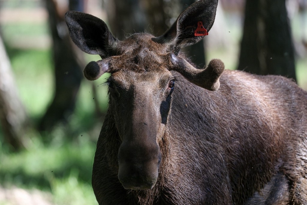    Фото © Владимир Гердо / ТАСС